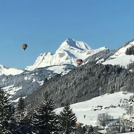 Tres Bel Duplex 9 Couchages Apartment Megeve